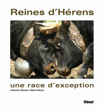 Reines d'Hérens : une race d'exception