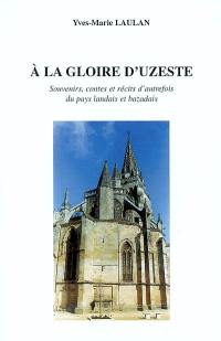 A la gloire d'Uzeste : souvenirs, contes et récits d'autrefois du pays landais et bazadais. Larves et libellules