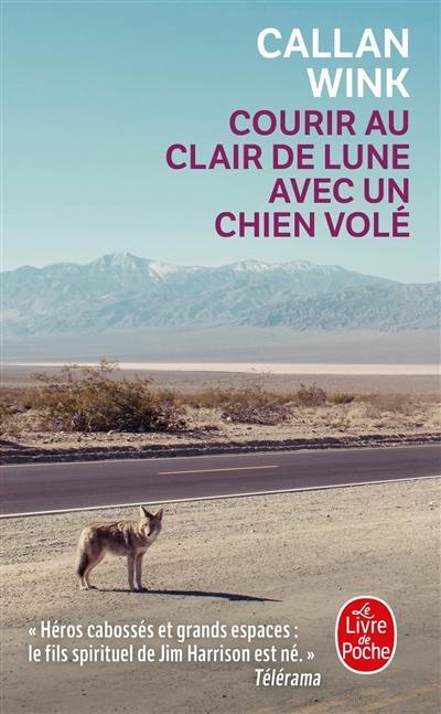 Courir au clair de lune avec un chien volé