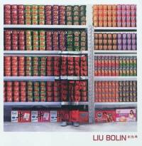 Liu Bolin