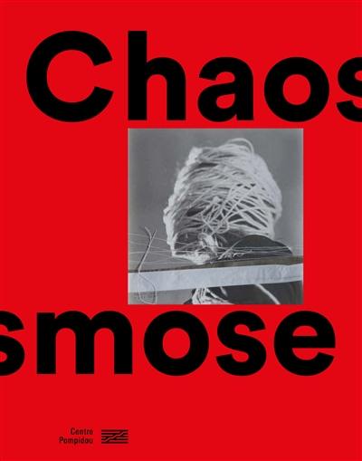 Chaosmose : fonds de dotation Jean-Jacques Lebel, Musée national d'art moderne