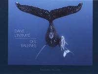 Dans l'intimité des baleines