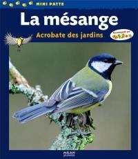 La mésange : acrobate des jardins