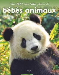 Mes 800 plus belles photos de bébés animaux