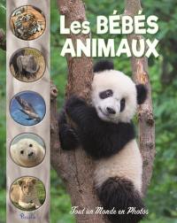 Les bébés animaux