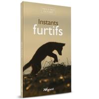 Instants furtifs