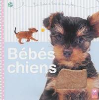 Bébés chiens