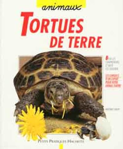 Tortues de terre