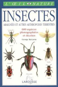 Insectes : araignées et autres arthropodes terrestres : 600 espèces photographiées et décrites