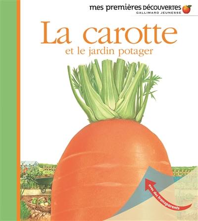 La carotte et le jardin potager