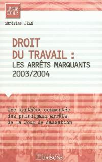 Droit du travail : les arrêts marquants 2003-2004 : une synthèse commentée des principaux arrêts de la Cour de cassation