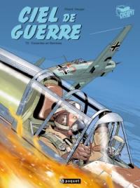 Ciel de guerre. Vol. 2. Cocardes en flammes