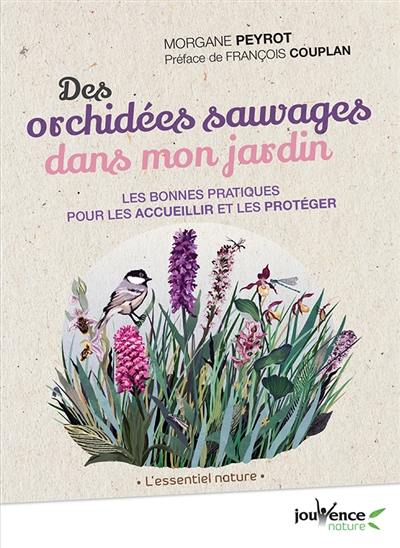 Des orchidées sauvages dans mon jardin : les bonnes pratiques pour les accueillir et les protéger