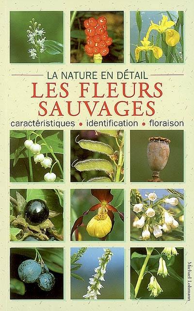 Les fleurs sauvages : caractéristiques, identification, floraison