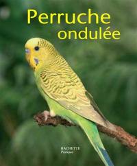 La Perruche callopsitte : bien la comprendre et bien la soigner