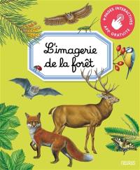 L'imagerie de la forêt