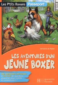 Les aventures d'un jeune boxer