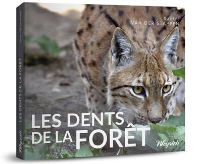 Les dents de la forêt