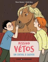 Mission vétos. Un cheval à sauver