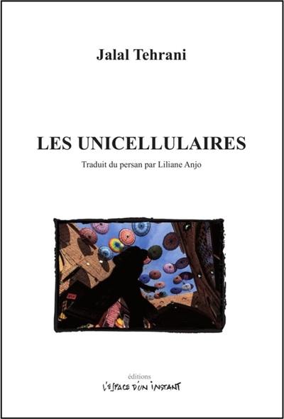 Les unicellulaires : Téhéran 2003