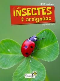 Les insectes & araignées