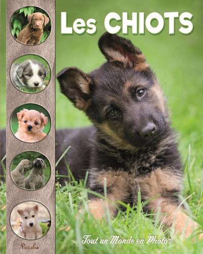 Les chiots