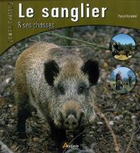 Le sanglier et ses chasses