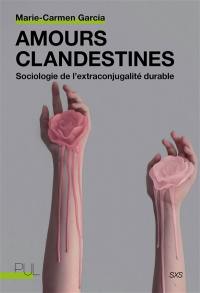 Amours clandestines : sociologie de l'extraconjugalité durable