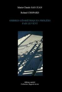 Ombres géométriques frôlées par le vent