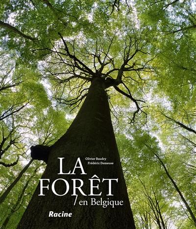 La forêt en Belgique