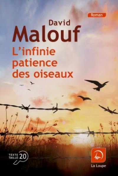 L'infinie patience des oiseaux