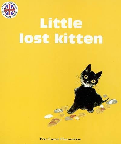 Lost little kitten