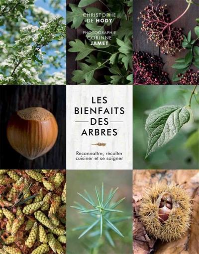 Les bienfaits des arbres : reconnaître, récolter, cuisiner et se soigner