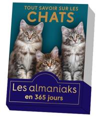 Tout savoir sur les chats