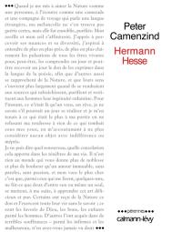 Peter Camenzind : récit