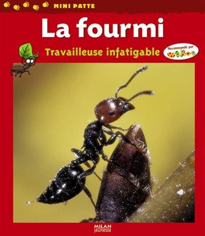 La fourmi : travailleuse infatigable