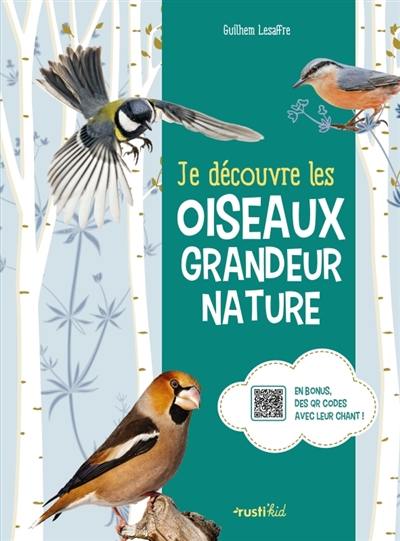 Je découvre les oiseaux grandeur nature