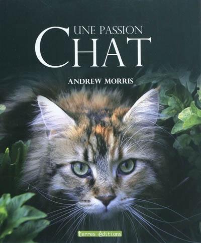 Chat, une passion