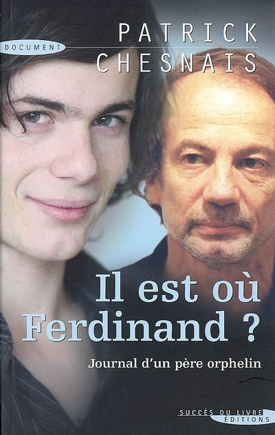 Il est où, Ferdinand ? : journal d'un père orphelin