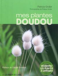 Mes plantes doudou : découvrez les plantes à caresser