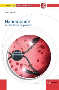 Nanomonde : les frontières du possible