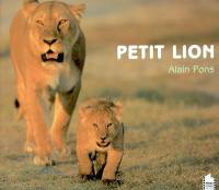 Petit lion