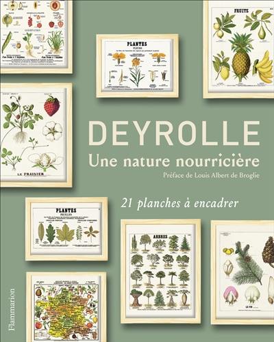 Deyrolle : une nature nourricière : 21 planches à encadrer