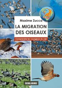 La migration des oiseaux : comprendre les voyageurs du ciel