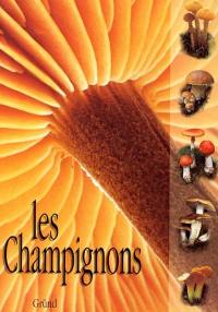 Les champignons