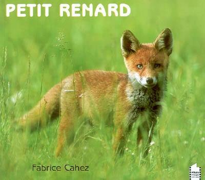 Petit renard