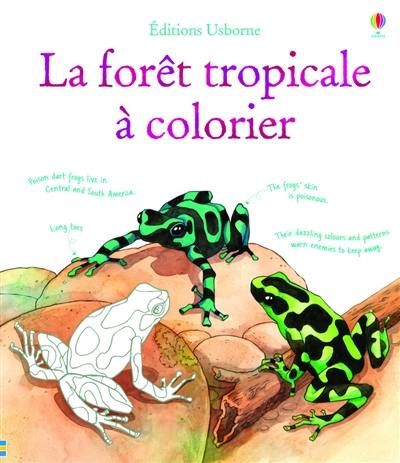 Faune et flore de la forêt tropicale : à colorier