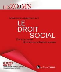 Le droit social : droit du travail, droit de la protection sociale : 2020-2021