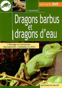 Dragons barbus et dragons d'eau