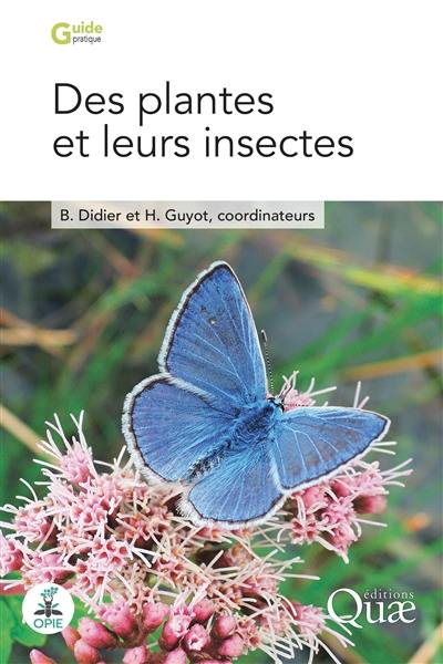 Des plantes et leurs insectes